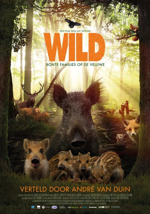WILD film